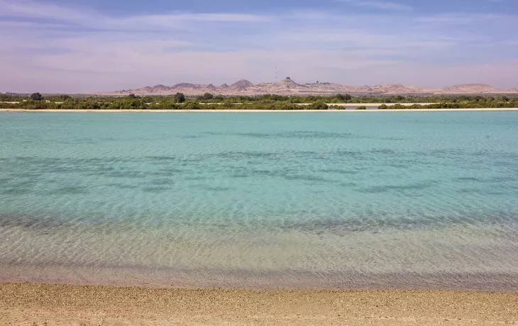 Sir Bani Yas Island