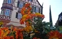 Chrysanthemenzauber Lahr - 1 Tag 