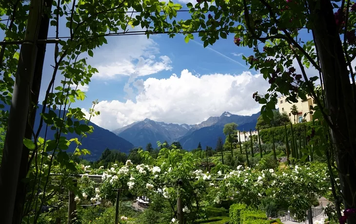 Meran im Frühling
