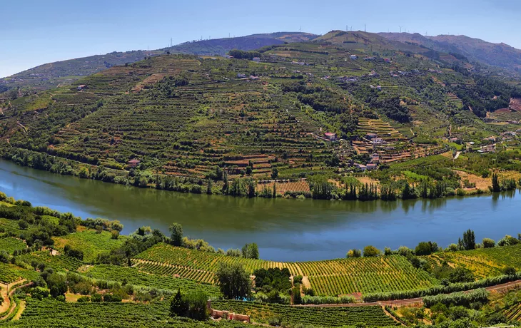 Weinbaugebiet Alto Douro nahe der Kleinstadt Mesão Frio
