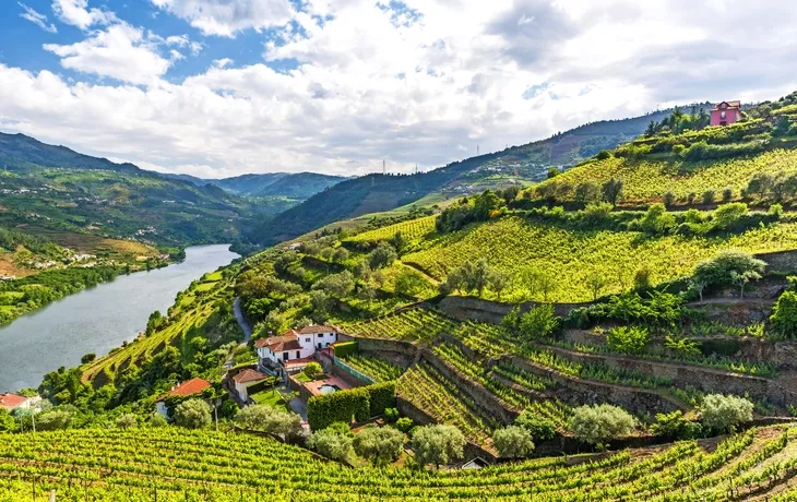 Landschaft des Flusses Douro