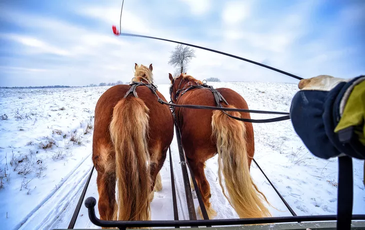 Pferdeschlittenfahrt