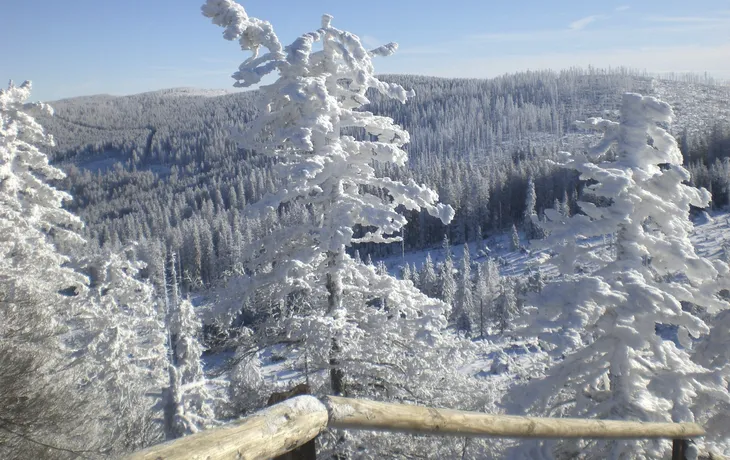 Bayerischer Wald, Winter