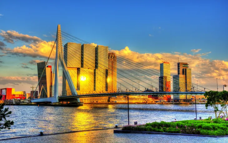 Erasmusbrücke in Rotterdam
