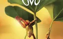 Cirque du Soleil - Olympiahalle München - 2027