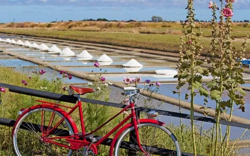 Rotes Fahrrad vor Salinenlandschaft an einem sonnigen Tag.