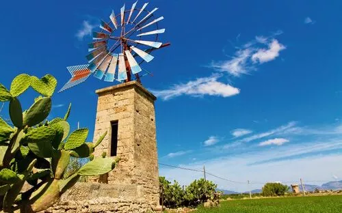 Windmühle auf einem Feld unter blauem Himmel mit Kakteen im Vordergrund.