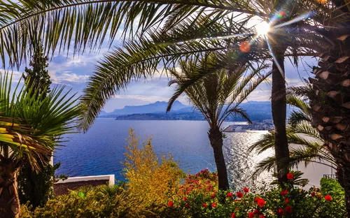 Mittelmeerlandschaft mit Palmen, Blumen und Blick aufs Meer bei Sonnenschein.