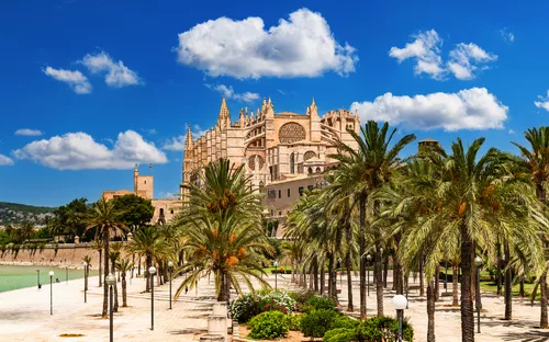 Kathedrale von Palma de Mallorca, umgeben von Palmen und blauer Himmel im Hintergrund