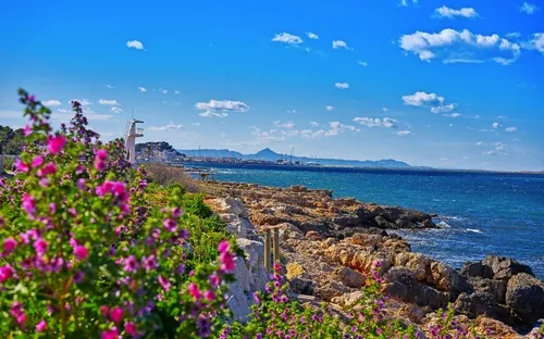 Meeresküste mit Felsen und Blumen unter blauem Himmel.