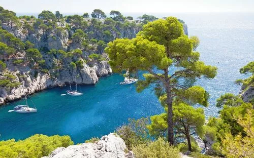 Küstenlandschaft mit Segelbooten in einer Bucht und Pinienbäumen auf Felsen.