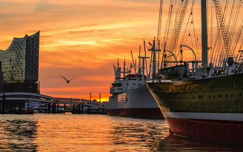 Hafen bei Sonnenuntergang mit Möwe und Schiffen im Vordergrund.