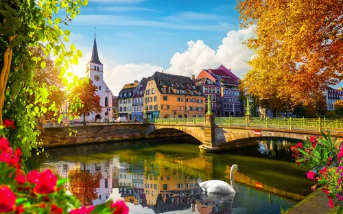 Fluss mit Schwan, Brücke, Kirche und Herbstbäumen in einer malerischen Stadt.