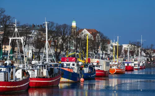 Fischerboote liegen nebeneinander im Hafen vor Gebäuden und kahlen Bäumen.
