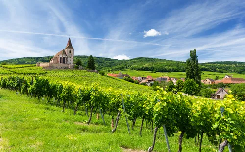 Kirche auf Hügel mit Weinbergen und blauem Himmel im Hintergrund.