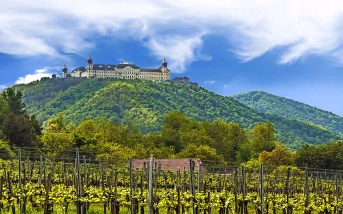 Weingut mit Kloster auf einem Hügel im Hintergrund unter blauem Himmel