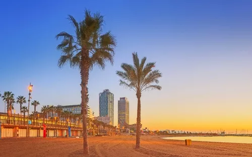 Strand mit Palmen und Stadtgebäuden im Sonnenaufgang.