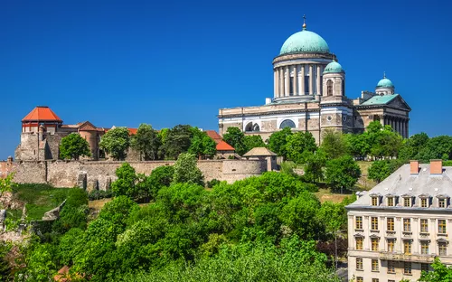 Eine große Kathedrale mit grüner Kuppel und Bäumen im Vordergrund.