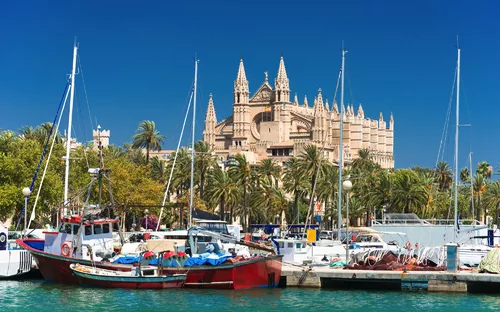 Boote im Hafen vor einer Kathedrale und Palmen im Hintergrund