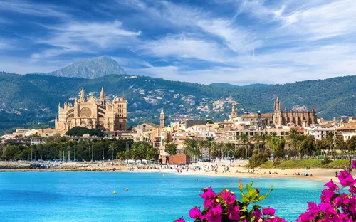 Kathedrale von Palma de Mallorca vor blauem Himmel mit Blick auf das Meer und Blumen im Vordergrund.