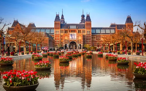 Rijksmuseum in Amsterdam im Frühling mit blühenden Tulpen und klarem Himmel im Hintergrund.