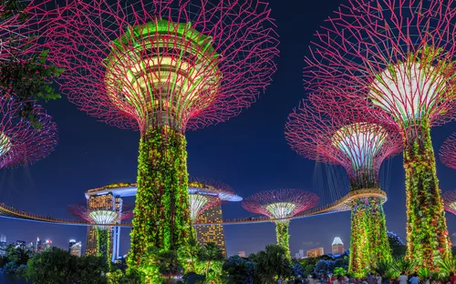Beleuchtete Supertrees im Gardens by the Bay Park, Singapur nachts.