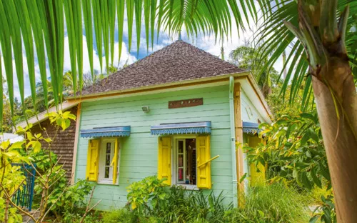 Ein pastellgrünes Haus mit gelben Fensterläden, umgeben von tropischen Pflanzen und Palmen.