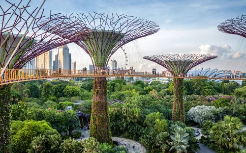 Futuristische Baumstrukturen im Park mit Stadt im Hintergrund.