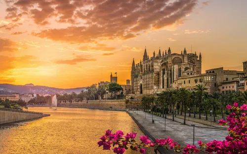Kathedrale am Flussufer bei Sonnenuntergang mit blühenden Bougainvilleen im Vordergrund.