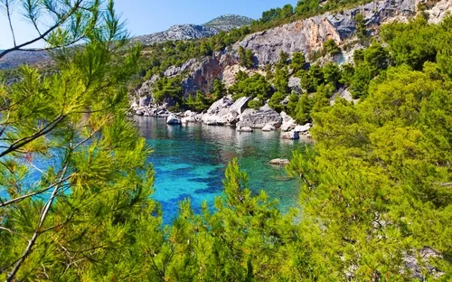 Küstenlandschaft mit klarem blauem Wasser, Pinienbäumen und felsigen Klippen im Hintergrund.
