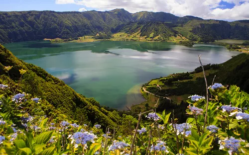 Blick über einen See mit blühenden Hortensien im Vordergrund und Bergen im Hintergrund.