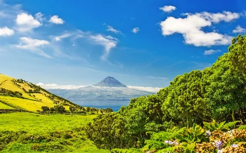 Grüne Hügellandschaft mit Bergen im Hintergrund unter klarem, blauem Himmel.