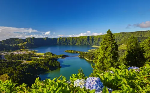 Landschaft mit See, Wald und blühenden Hortensien unter blauem Himmel