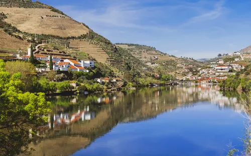Landschaft mit Fluss, Bergen und gelben Blumen im Vordergrund.