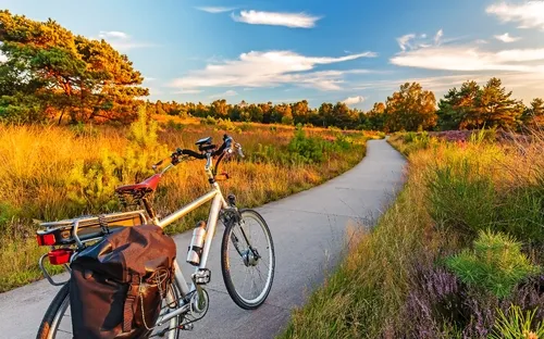 Fahrrad auf einem Weg im grünen Park bei sonnigem Wetter.
