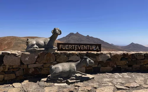 Steinskulpturen von Ziegen vor Bergkulisse auf Fuerteventura.