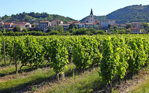 Weinberge vor einem Dorf mit Kirchturm und Hügeln im Hintergrund