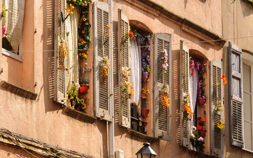 Fenster und Fensterläden mit Blumendekoration in Grasse, Provence-Alpes-Côte d’Azur, Frankreich.