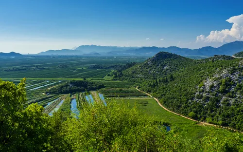 Hügelige Landschaft mit grünen Feldern und Bergen im Hintergrund bei klarem Himmel.