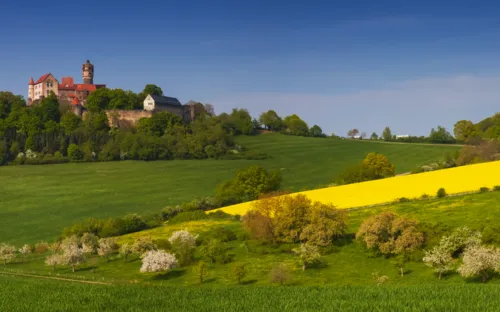 Hügel mit Schloss, Wiesen und blühenden Bäumen unter klarem Himmel.