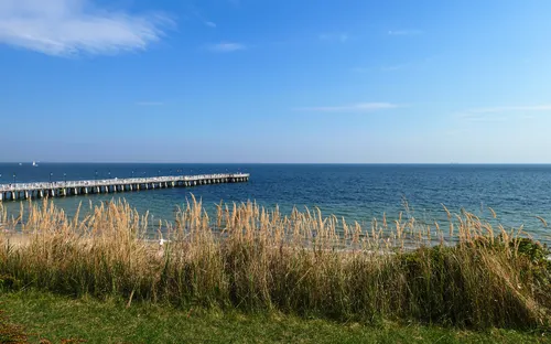 Steg übers Meer mit grünem Gras im Vordergrund und blauem Himmel.