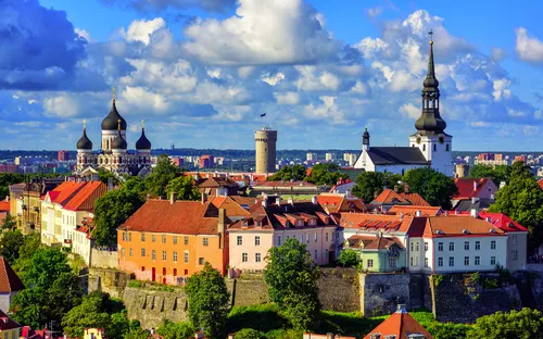 Panoramablick über die Altstadt von Tallinn mit historischen Gebäuden und Türmen.