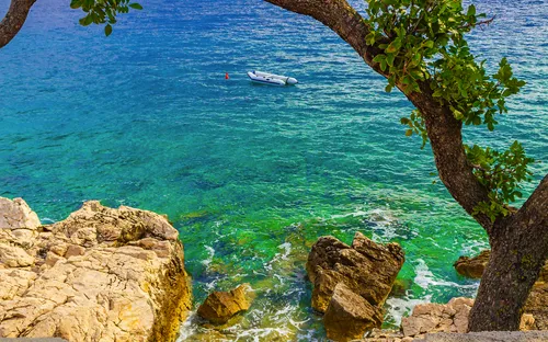 Aussicht auf das Meer durch Bäume, mit Felsen und klarem Wasser im Vordergrund.