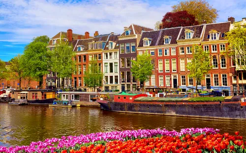 Kanalanlage in Amsterdam mit bunten Blumen und traditionellen Häusern im Hintergrund.