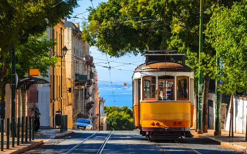 Straßenbahn fährt durch sonnige Stadtstraße mit Bäumen und Meer im Hintergrund.