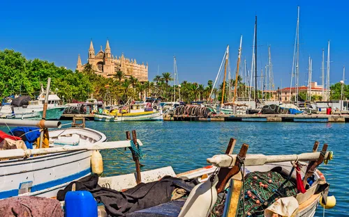 Boote im Hafen vor der Kathedrale von Palma in Mallorca an einem sonnigen Tag.