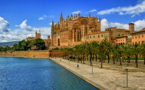 Kathedrale von Palma de Mallorca am Wasser mit Palmen im Vordergrund.