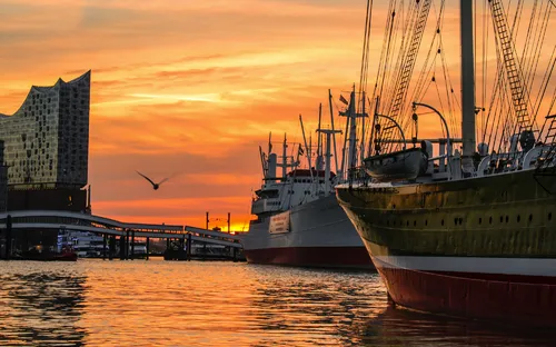 Hafen bei Sonnenuntergang mit Möwe und Schiffen im Vordergrund.