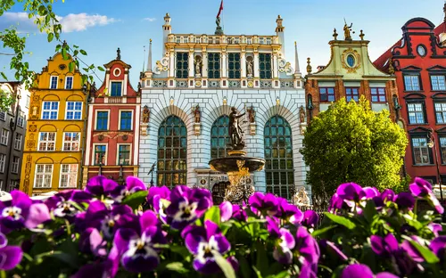 Bunte Altstadtgebäude und Blumen in Danzig bei sonnigem Wetter