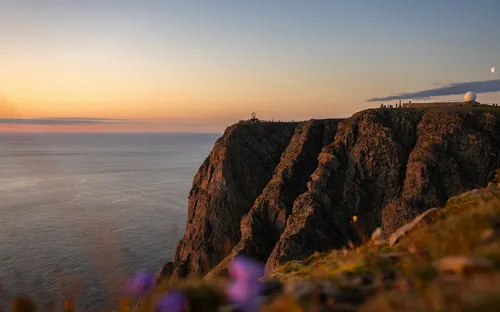 Steilklippen am Meer während des Sonnenuntergangs mit Blumen im Vordergrund.